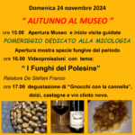 Autunno al Museo – Costa di Rovigo – 24 novembre